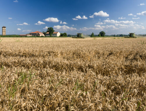 Giornate FAI di Primavera a Villa Cà Salvioni